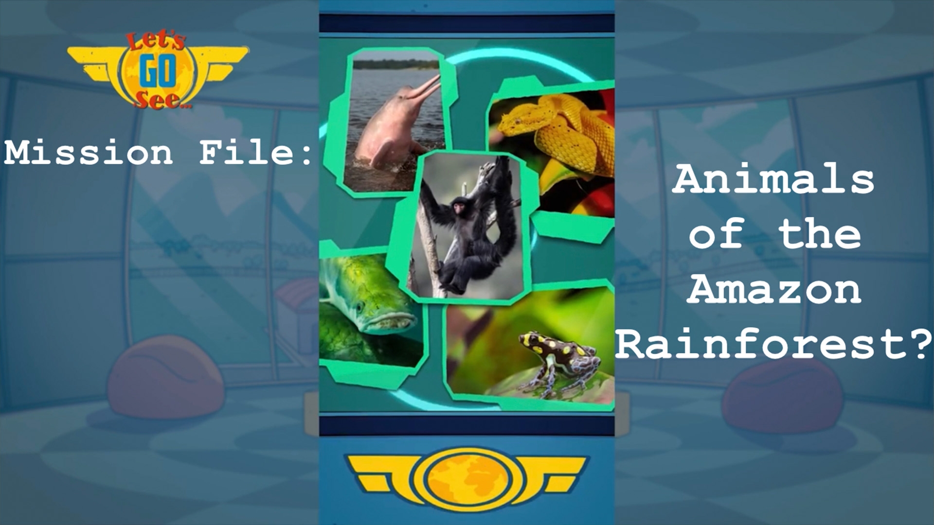 Mission File #6 The Amazon Rainforest - Animals