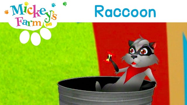 Raccoon