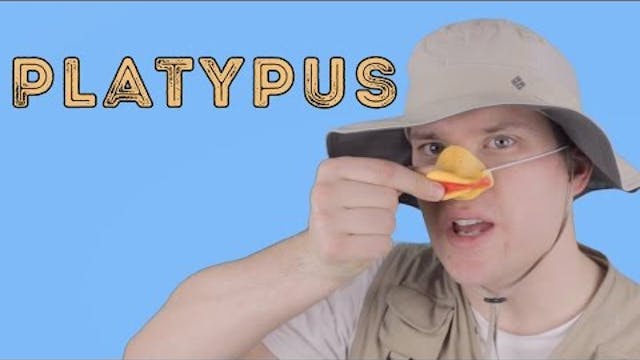 Platypus - Animal Facts 