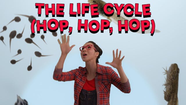 The Life Cycle (Hop, Hop, Hop)