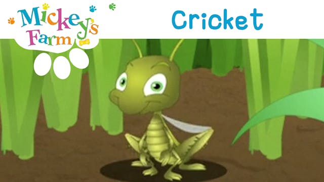 Cricket