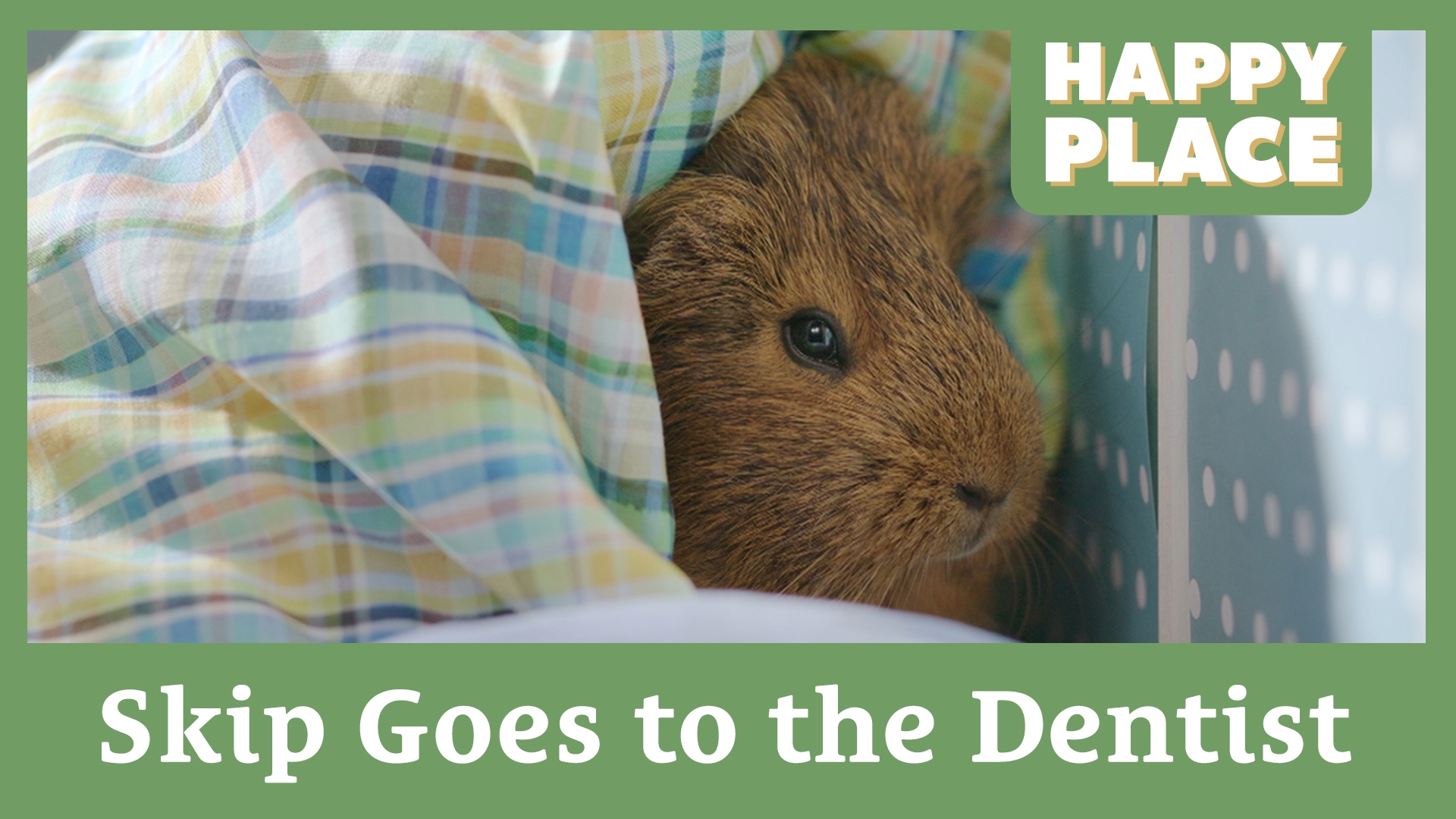 Skip Goes to the Dentist