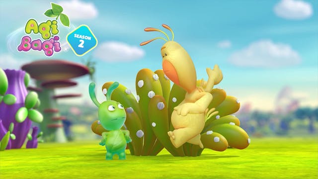 Where Do Vitamins Come From?