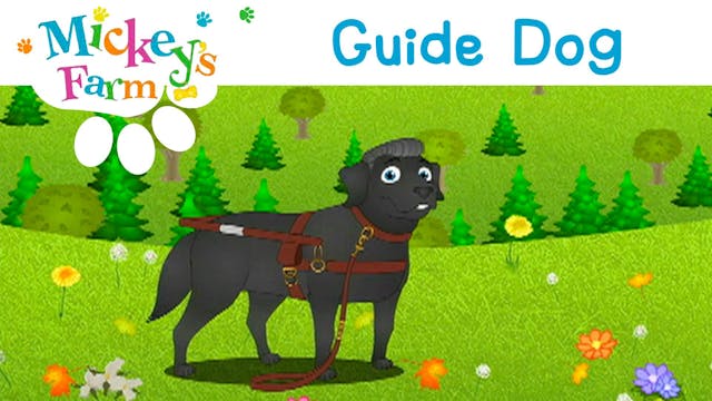 Guide Dog