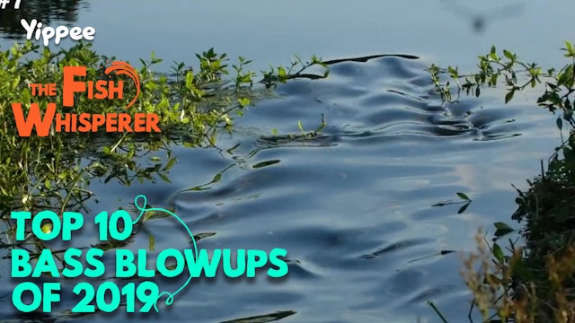 Top 10 Bass Blowups of 2019!