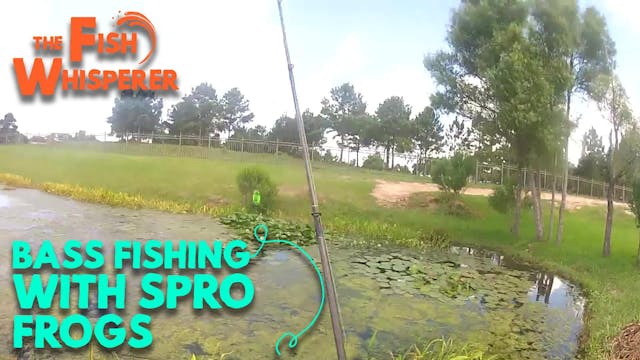 Bass Fishing with Spro Frogs