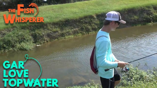 Gar Love Topwaters!