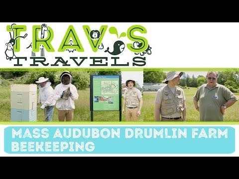 Mass Audubon's Drumlin Farm and Wildlife Sanctuary- Beekeeping