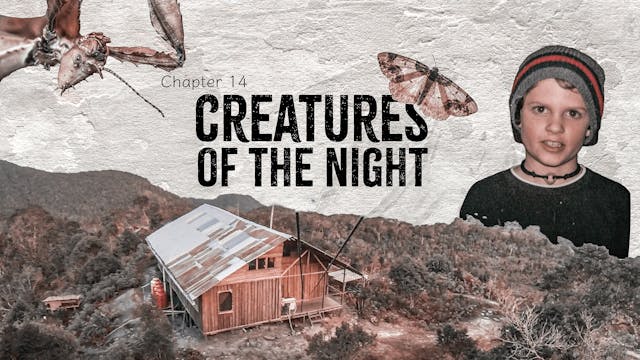 Creatures of the Night