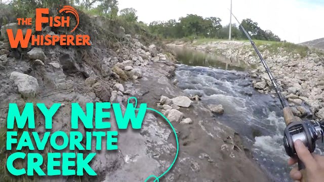 My New Favorite Creek!