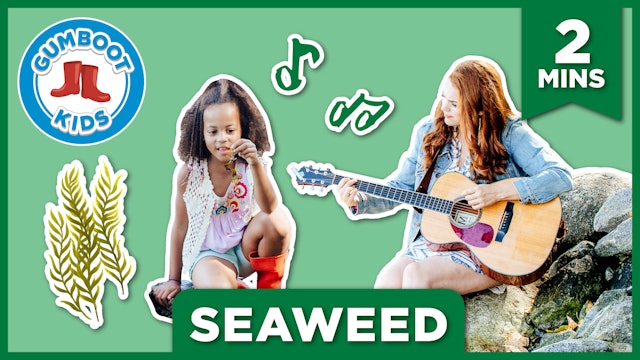 Episode 4 | Seaweed