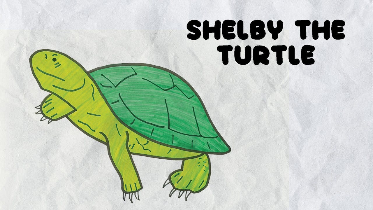 Learn to Draw Shelby The Turtle - Tashi Non-Stop (Drawing Videos ...