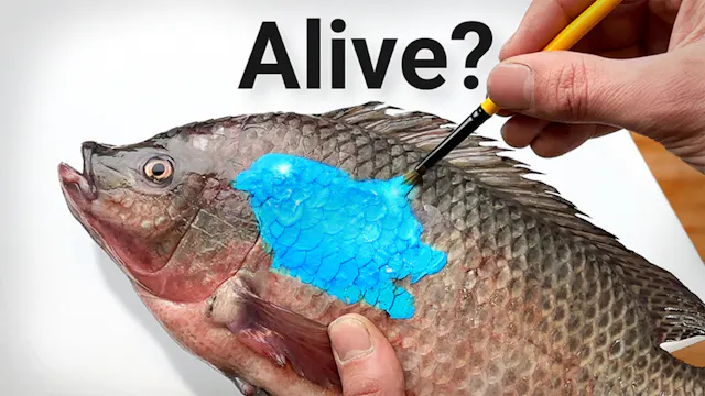 Can I Make Art Using a Fish?