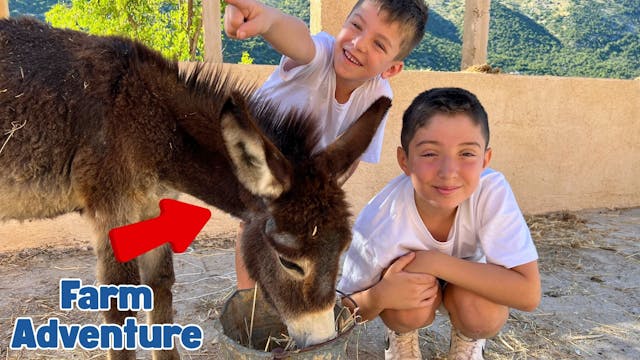 Donkey Day Out! Farm Fun with Oliver ...