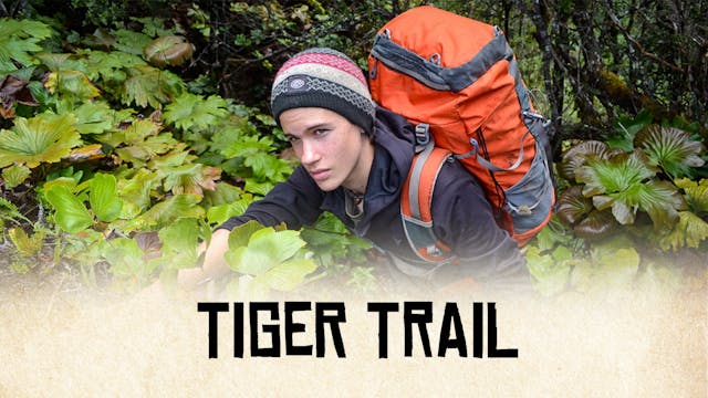Tiger Trail