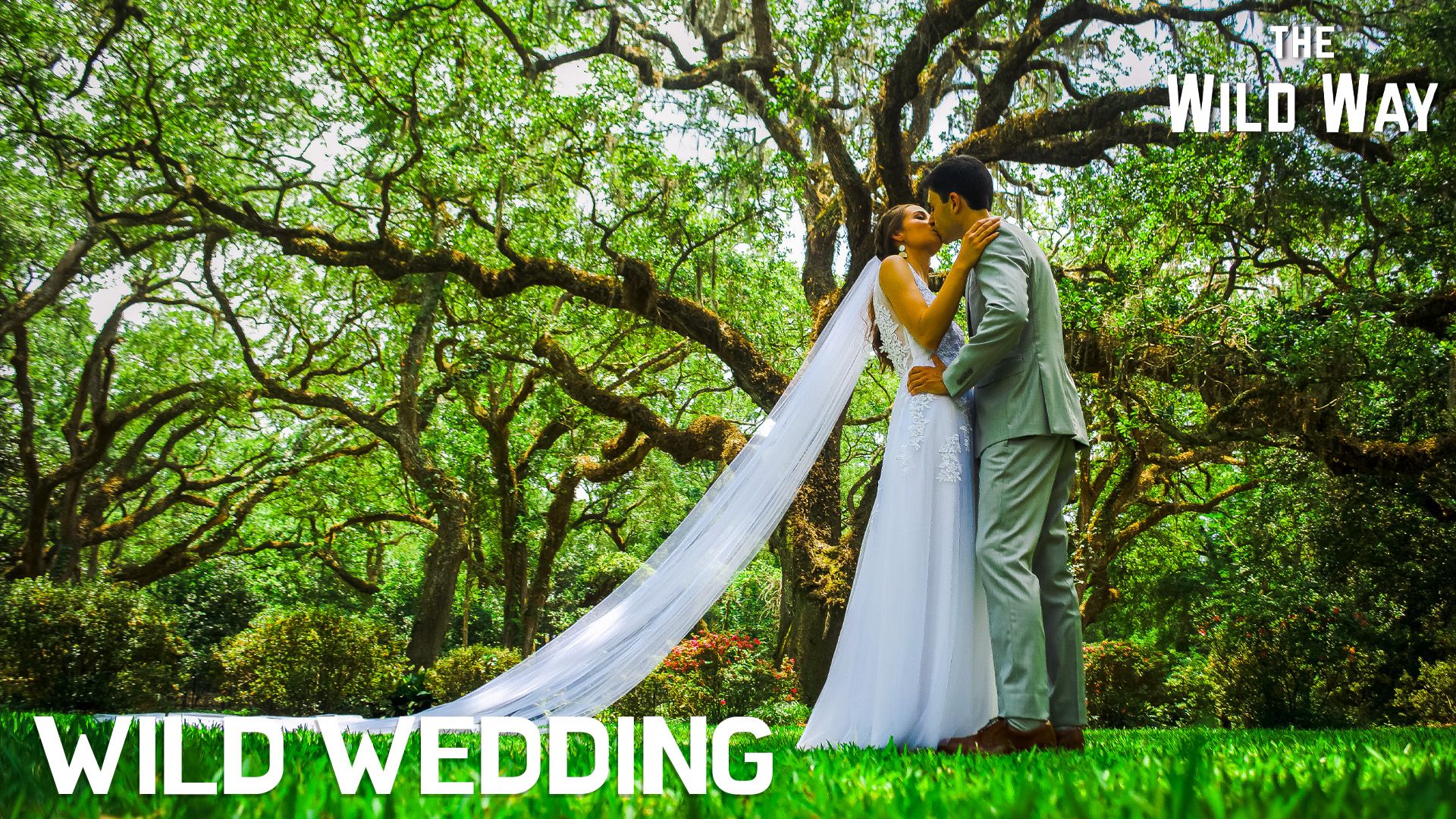 The Wild Way | Wild Wedding