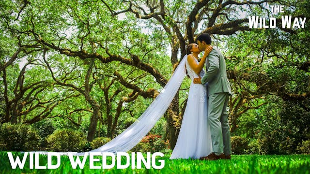 The Wild Way | Wild Wedding