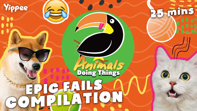Animals Doing Things | Epic Fails - C...