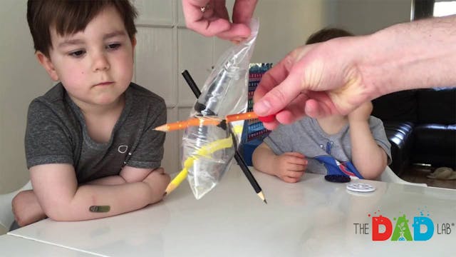 Plastic Bag Science Experiment For Kids