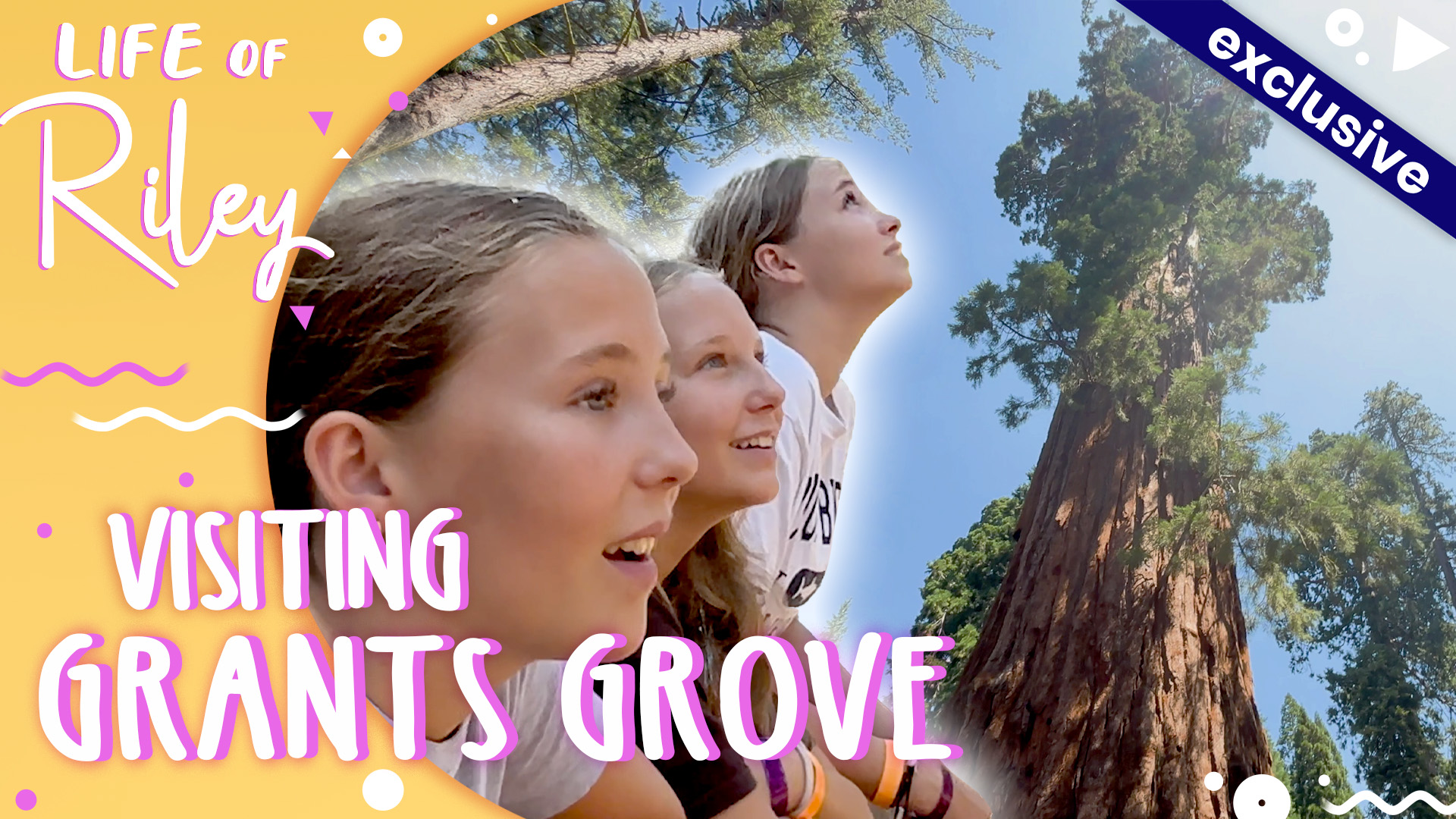 Visiting Grants Grove