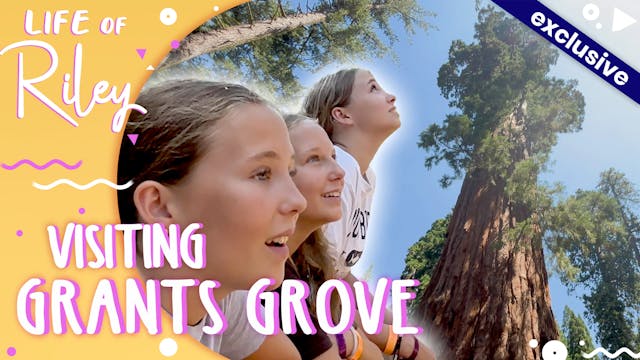 Visiting Grants Grove