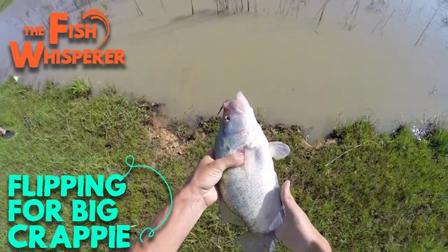 Flipping For Big Crappie
