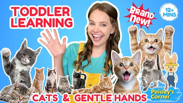 Silly Miss Lily Visits a Cat Cafe!