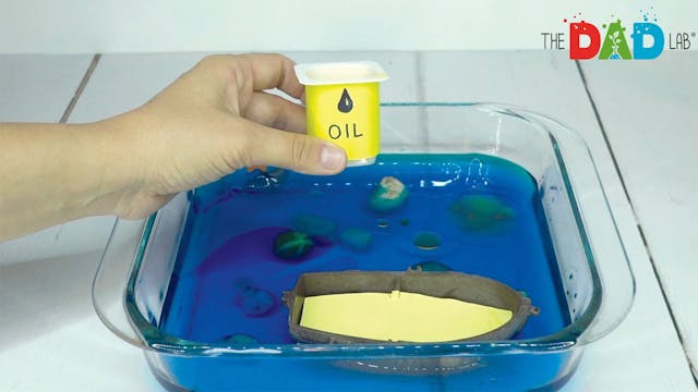 Ocean Oil Spill Simulation