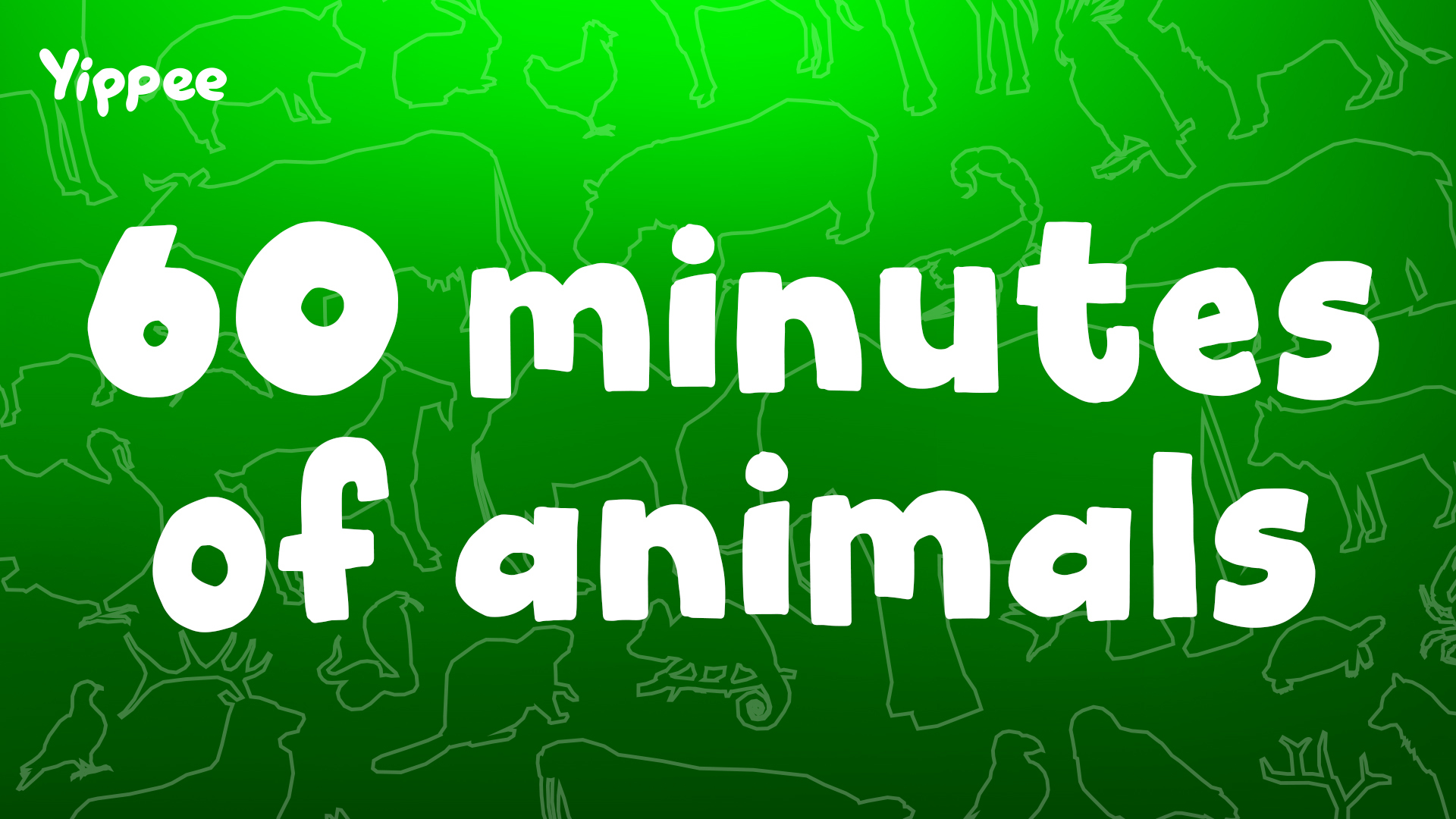 60 Minutes of Animals