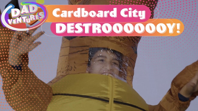 Cardboard City DESTROOOOOOY!