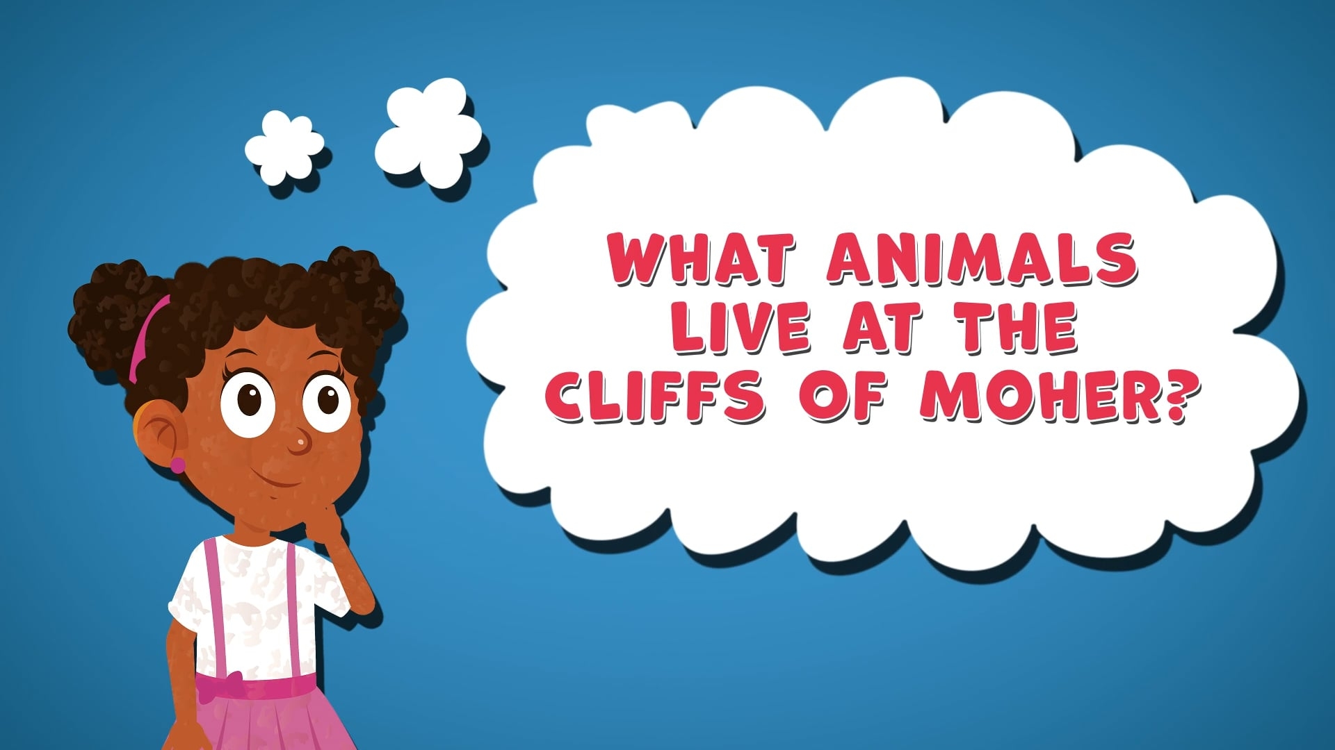 I WONDER - What Animals Live At The Cliffs Of Moher?