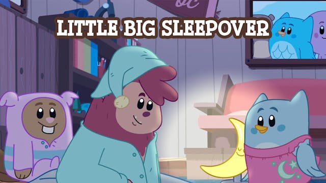 Little Big Sleepover