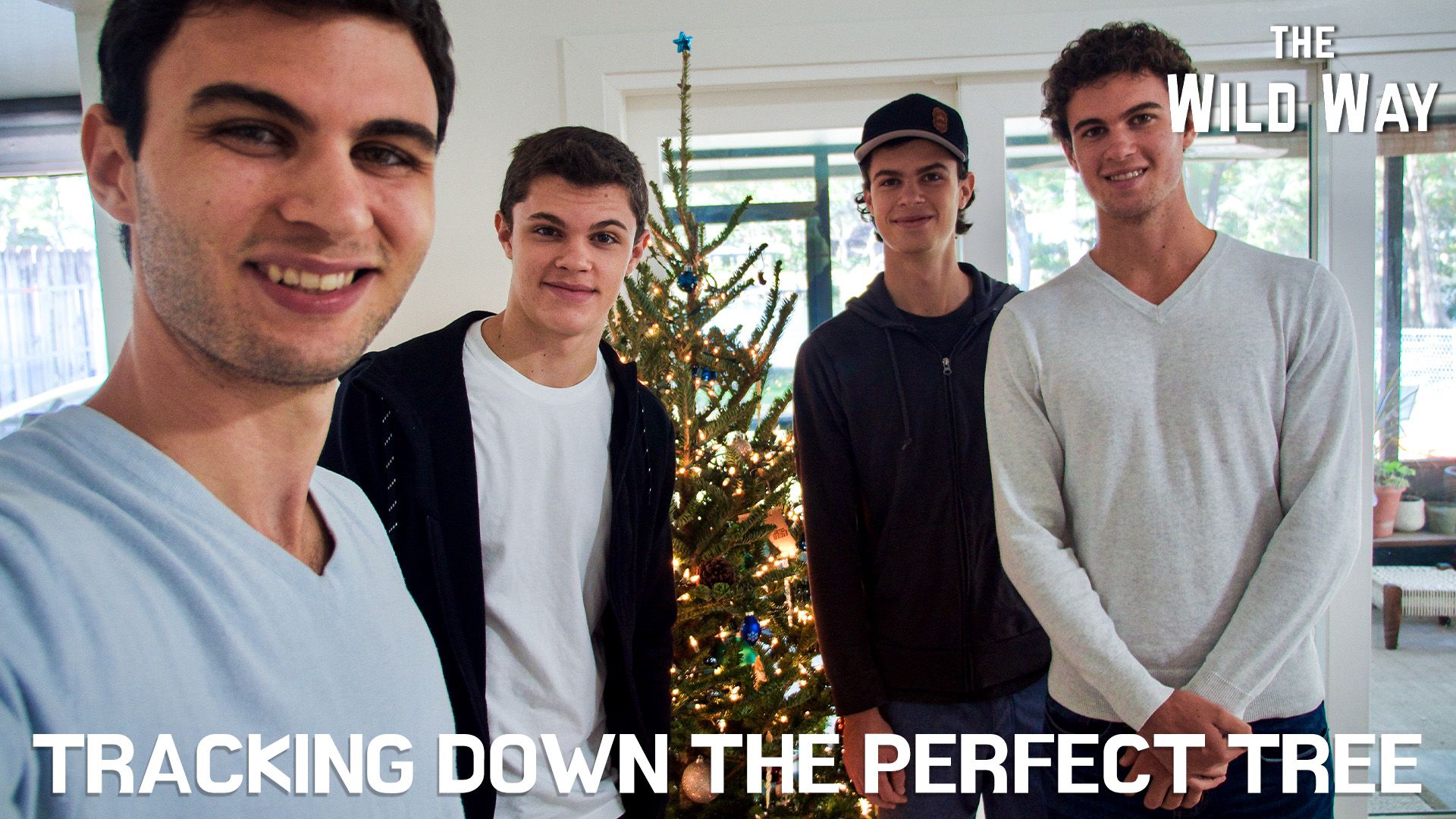 The Wild Way | Tracking Down the Tree