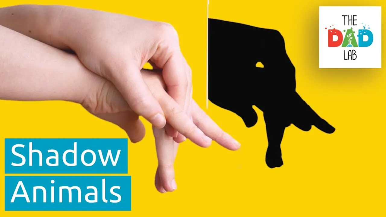 How to Make Animals Shadow Puppets with Your Hands - TheDadLab - Yippee ...