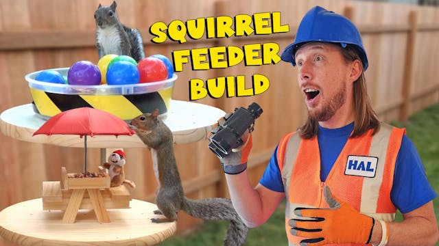 Handyman Hal builds Squirrel Feeder