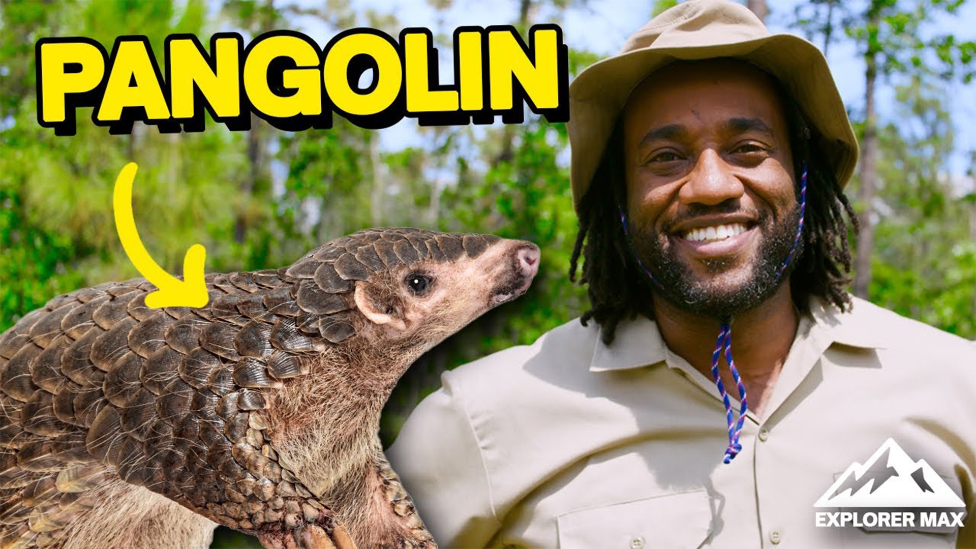 Explorer Max: Pangolin Superpowers