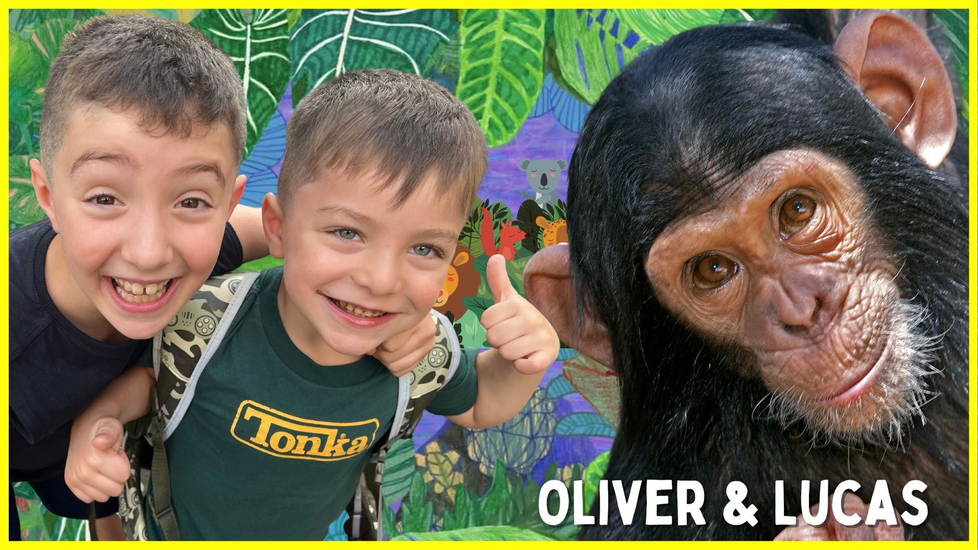 Wildlife Rescue Adventure with Monkeys in Africa