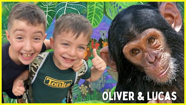 Wildlife Rescue Adventure with Monkey...