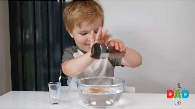 Cinnamon and Water Science Trick