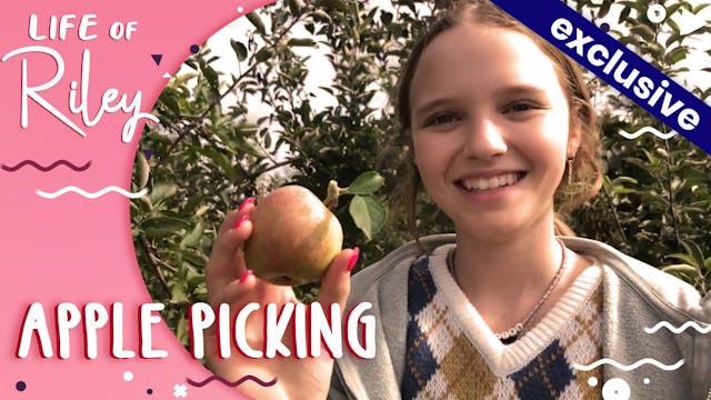 Apple Picking