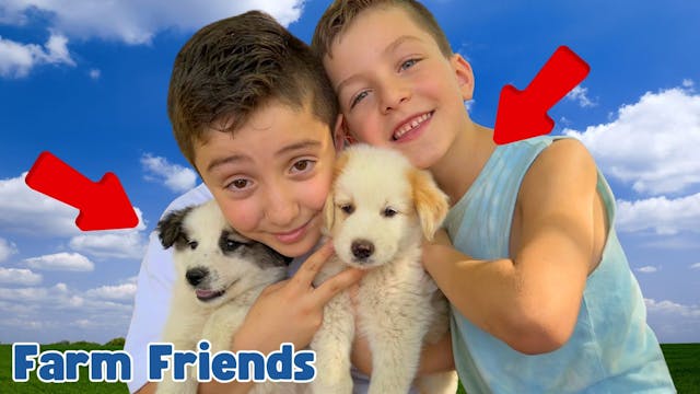 Farm Friends and Puppy Cuddles! Olive...