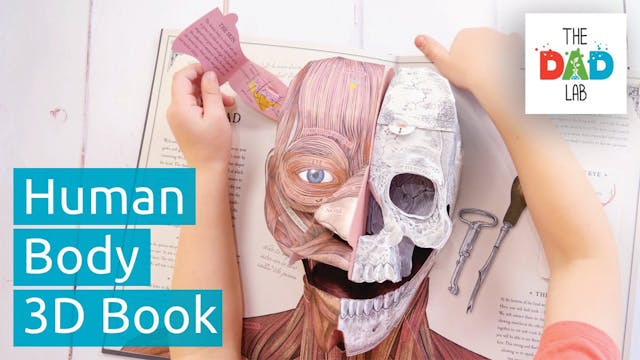 How The Human Body Works | Pop-Up Book