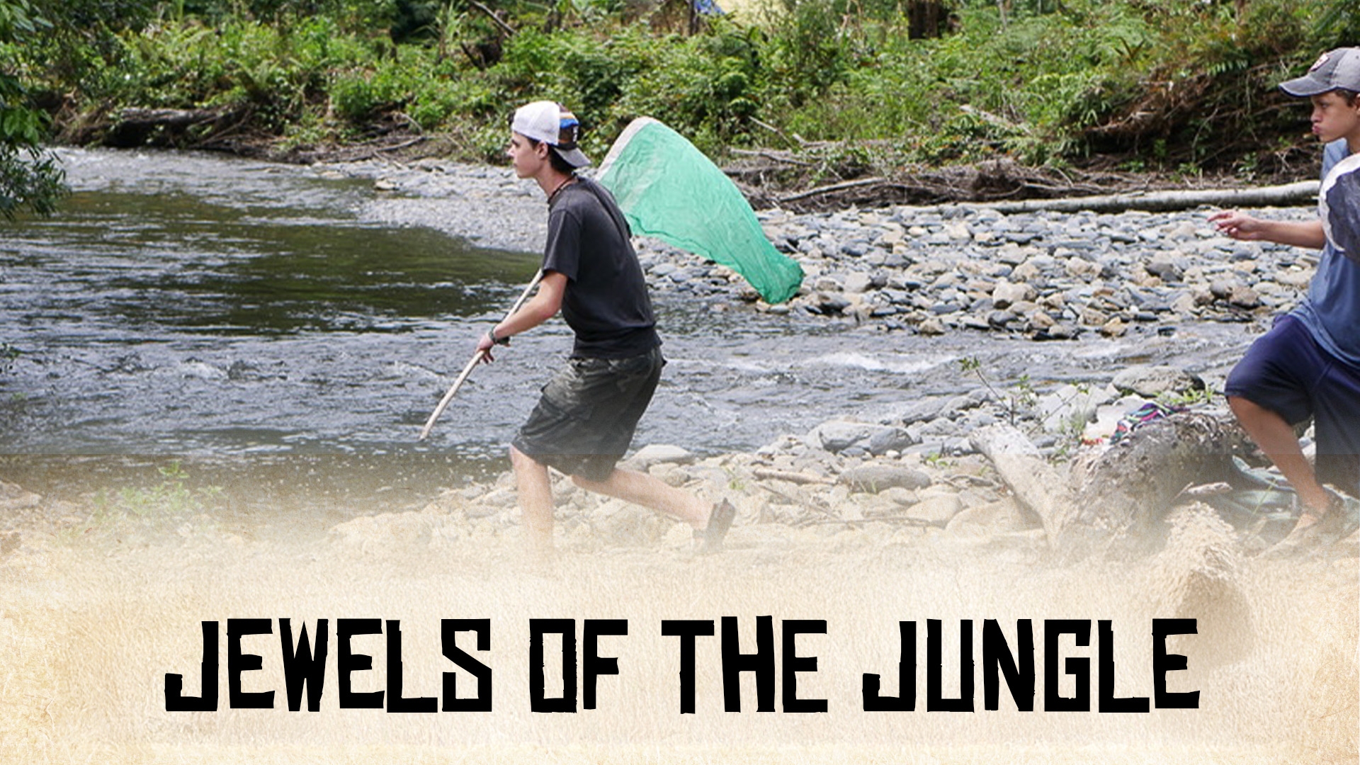 Jewels of the Jungle