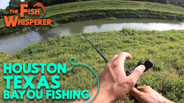 Houston Tx Bayou Fishing