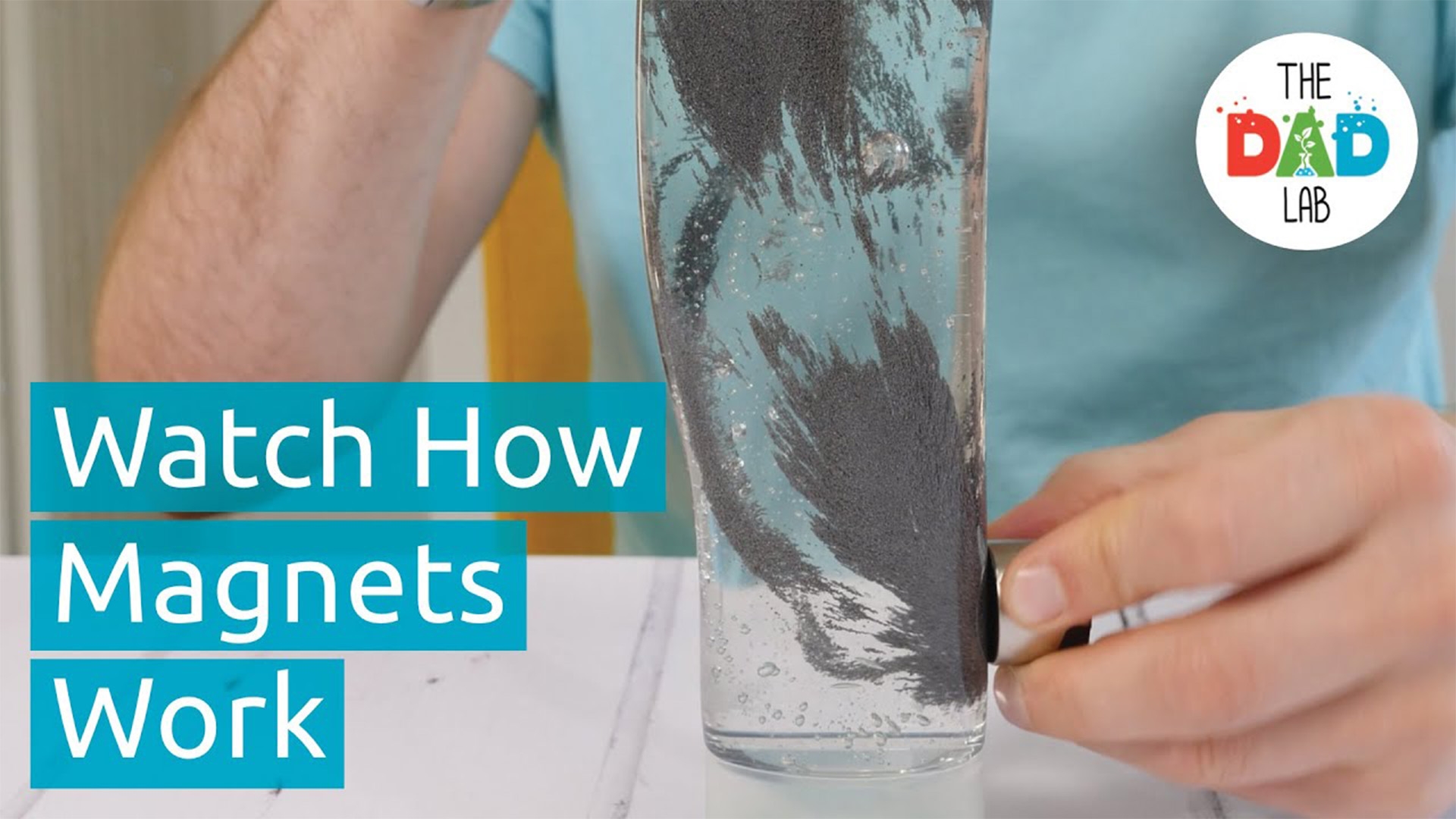 Magnetic Field Science Experiment for Kids