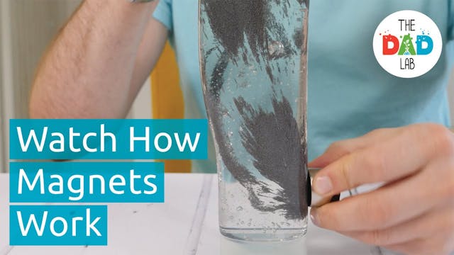 Magnetic Field Science Experiment for...