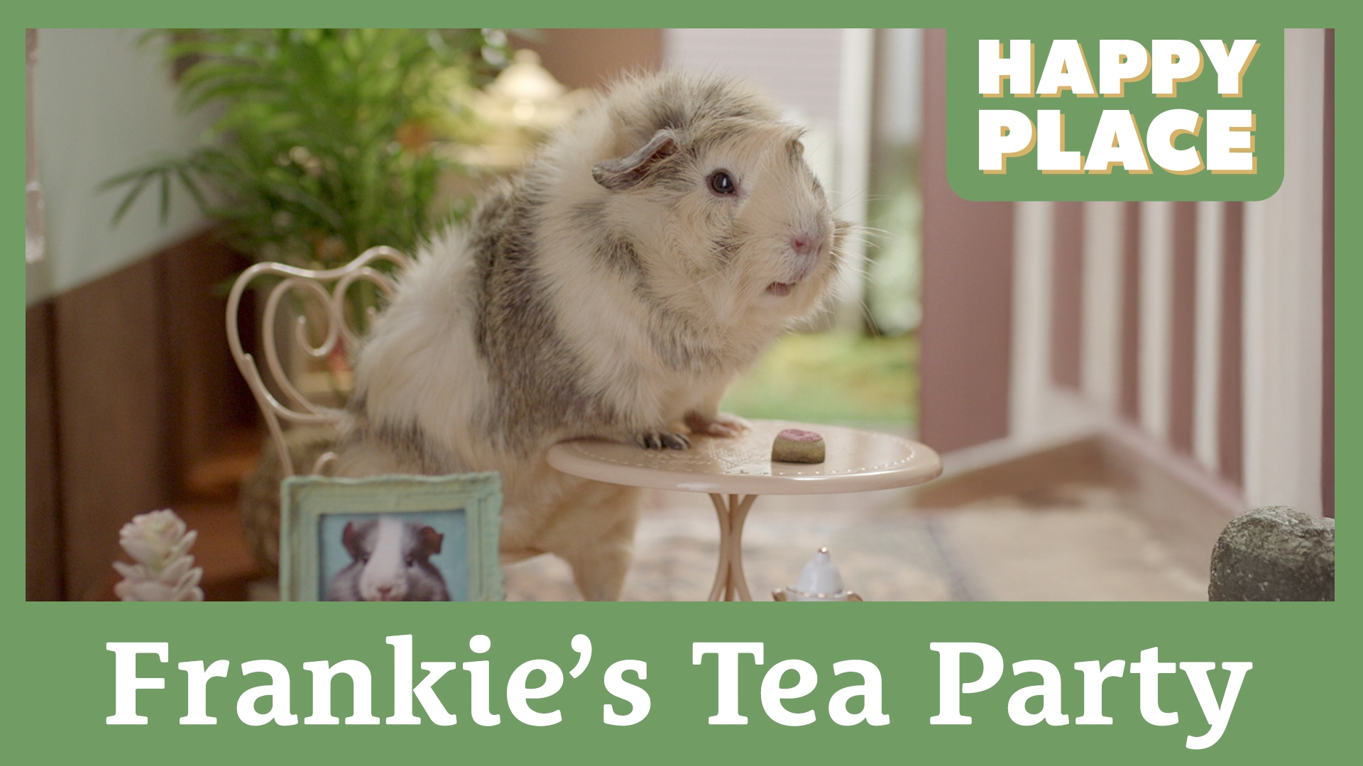 Frankie's Tea Party