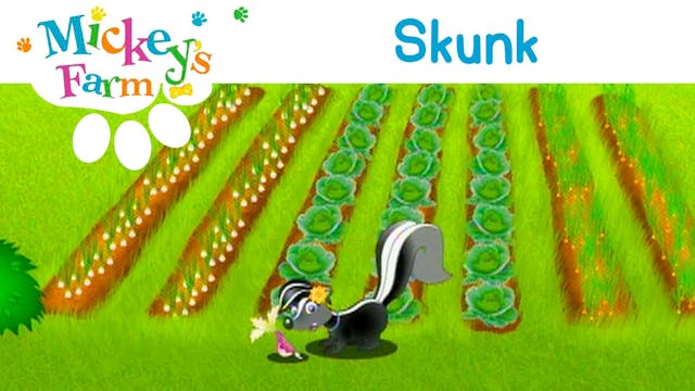 Skunk