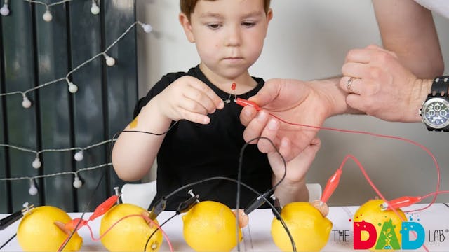 How to Make a Lemon Battery