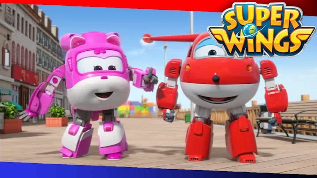 Sporty Sea Lion Surprise